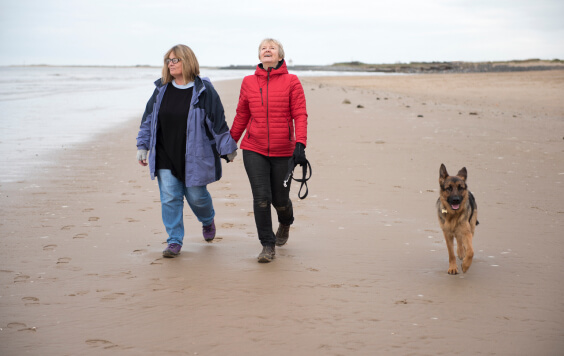 Mature female couple laughing and holding hands walking along the beach on a cold day